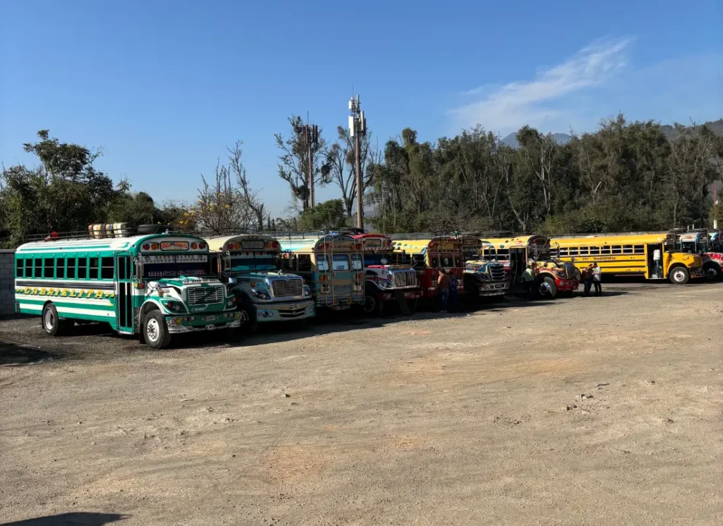 A row of chicken buses in Antigua, Guatemala