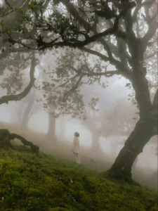 Laura amongst the fog in Fanal Forest, Madeira