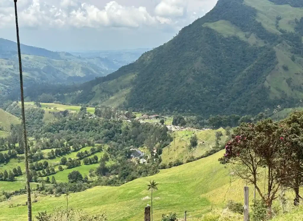 A view of Cocora Valley in Salento right before getting on the bus from Salento to Cali